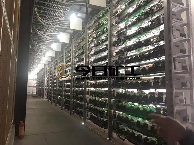 Miners inspecting a server room with rows of mining rigs.